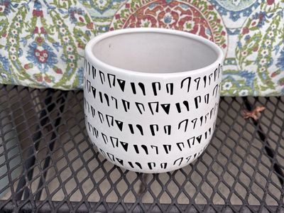 Black and white ceramic planter pot.