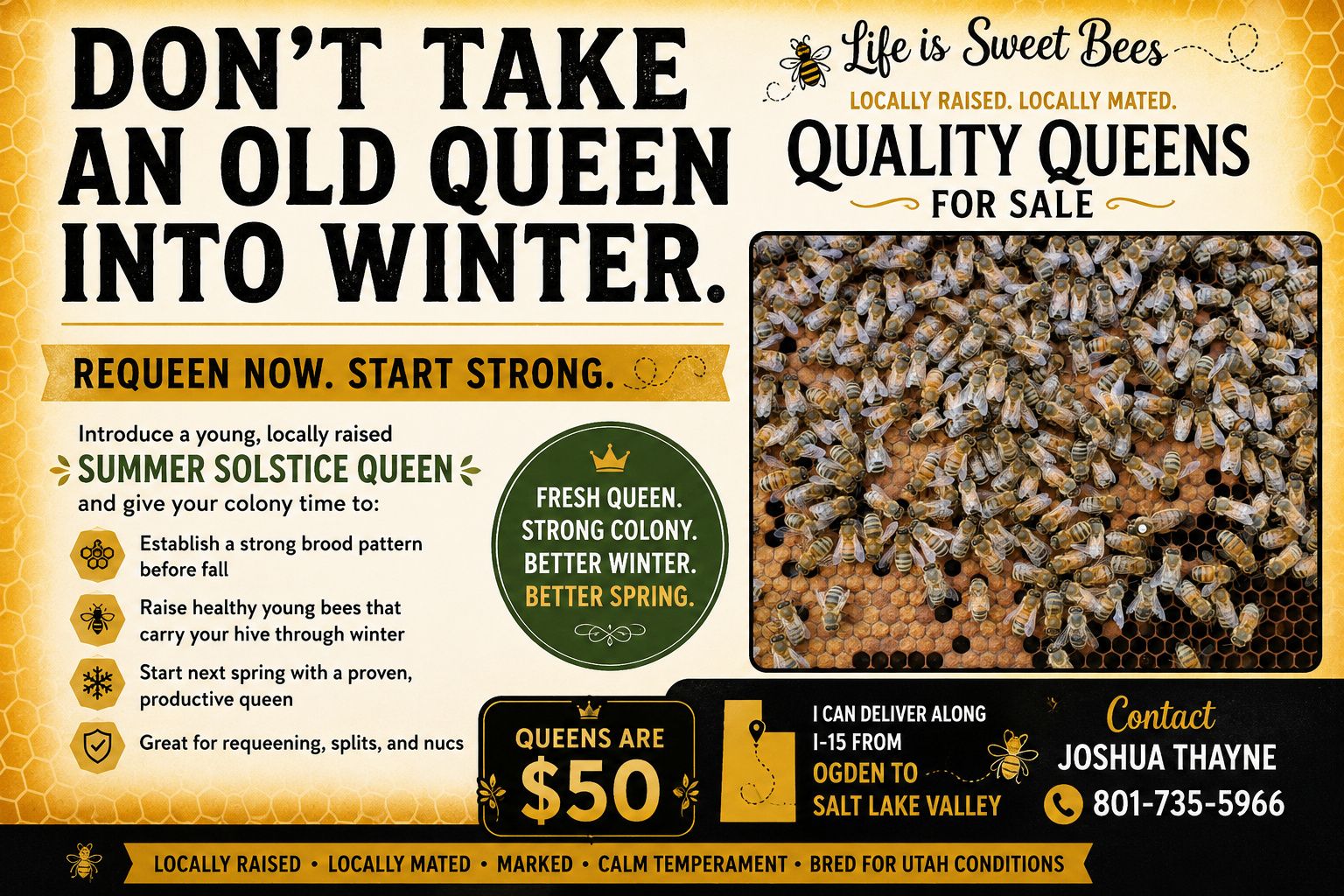 Quality Queen Bees