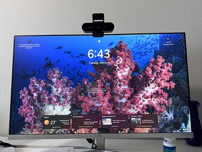 HP M24FW FHD Monitor (24")