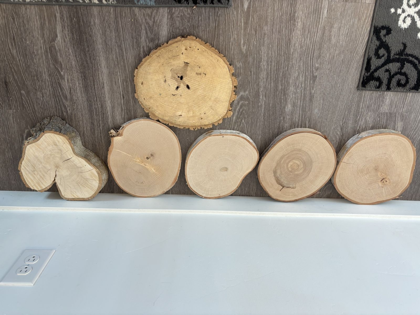 Wood slices set of 6