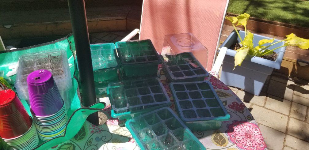 SEED GERMINATION SUPPLIES