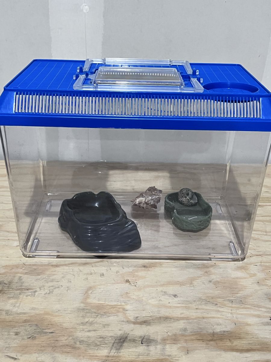 Hermit Crab Enclosure + Accessories — No Crab Included
