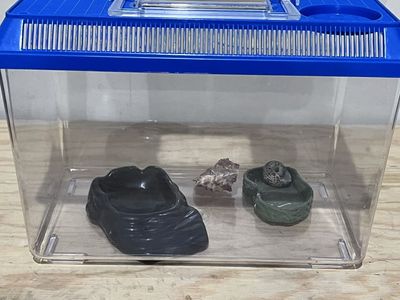 Hermit Crab Enclosure + Accessories — No Crab Included