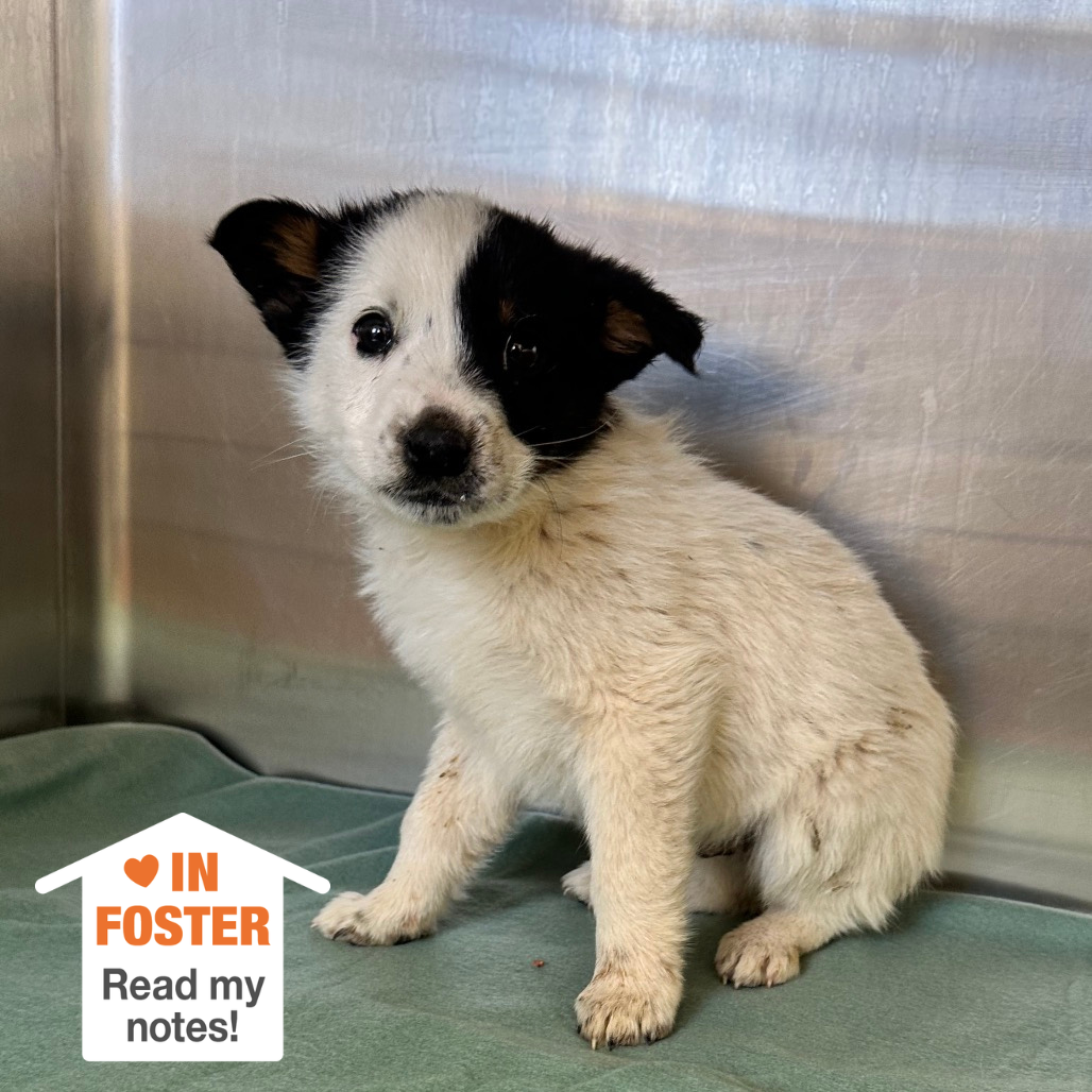 Hello my name is Tinkerbell