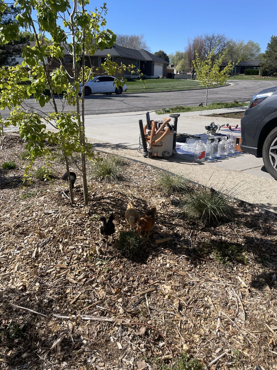 Yard Sale everything must go