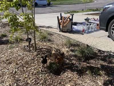 Yard Sale everything must go