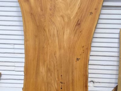 8 ft long Love Edge West Elm Wood Slab