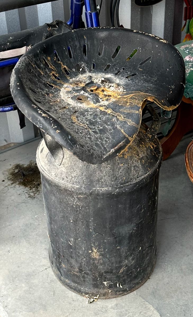 Main image 8