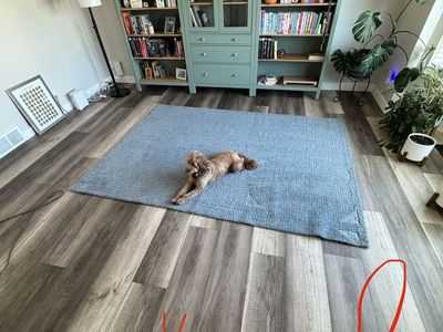 Rugs