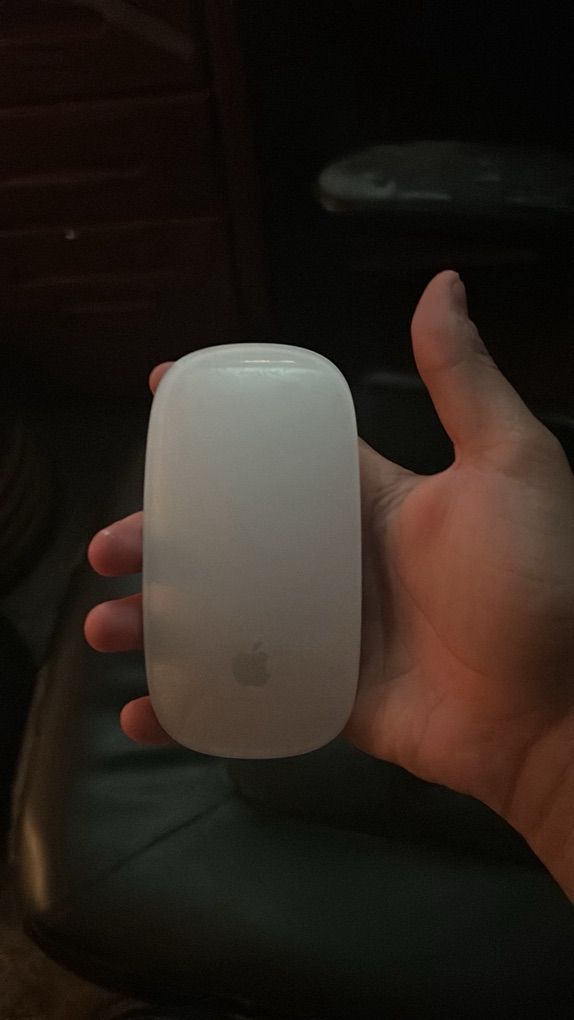 Apple Magic Mouse