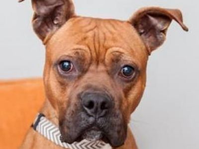 Hello my name is Billy