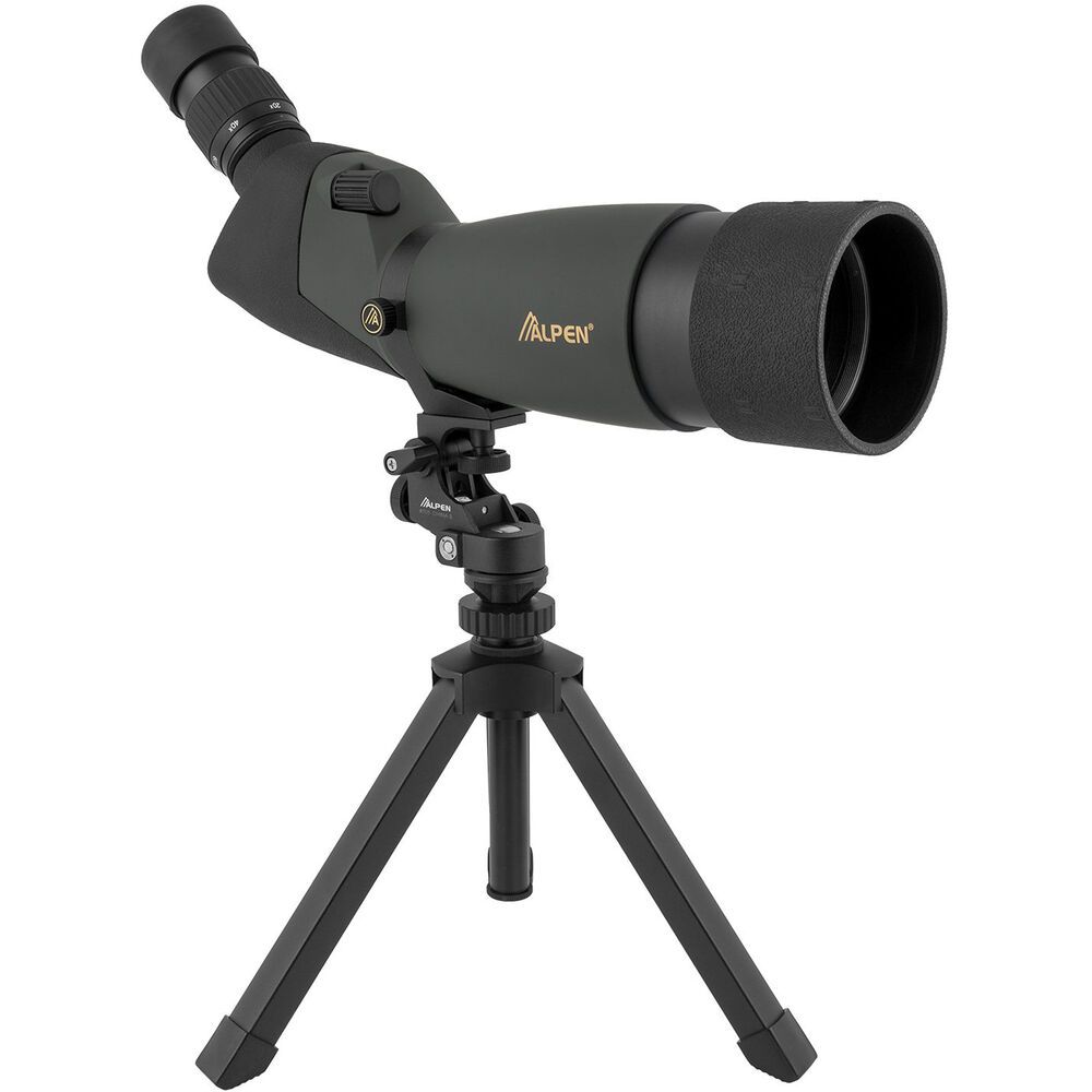 Main image 6