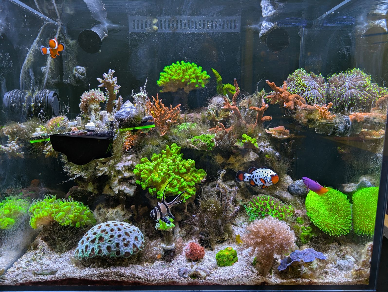 Main image 6