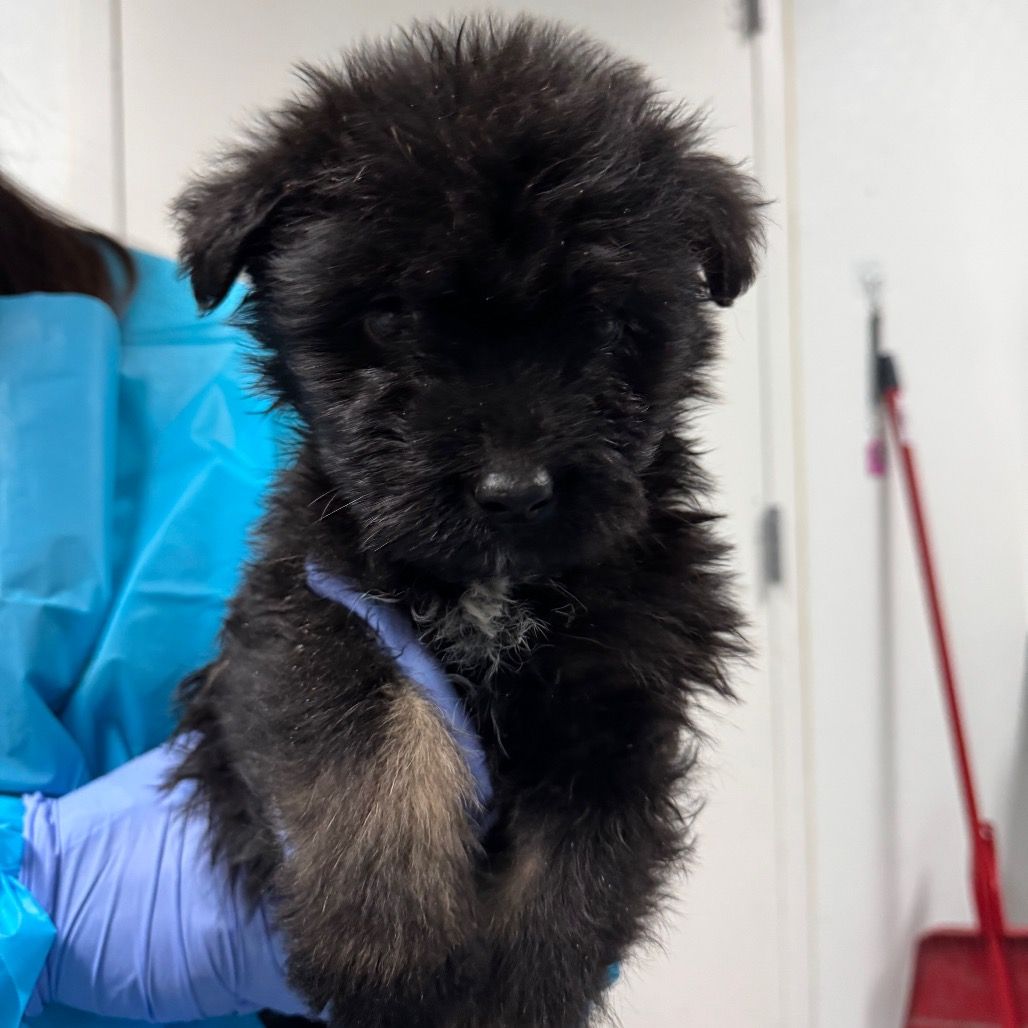 Hello my name is Ruthie