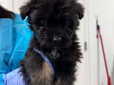 Hello my name is Ruthie