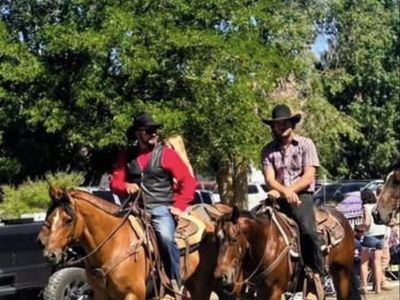 10-Year-Old Dun Gelding grade Quarter Horse - Well-Trained started Rope Horse, stands just under 15hh