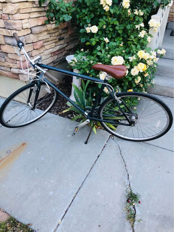 Brilliant Cooper Bike 3 Speed Carbon Belt Drive Retails $550