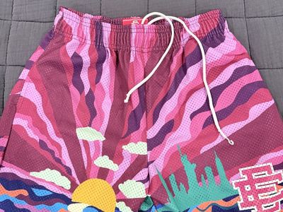 Eric Emanuel EE Basic Shorts Sunrise New York City Pink Purple Size Medium