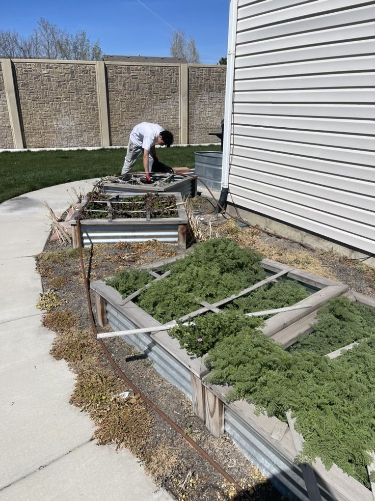 Weeds Removal Yard Clean Up Mowing Great Prices