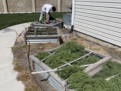 Weeds Removal Yard Clean Up Mowing Great Prices