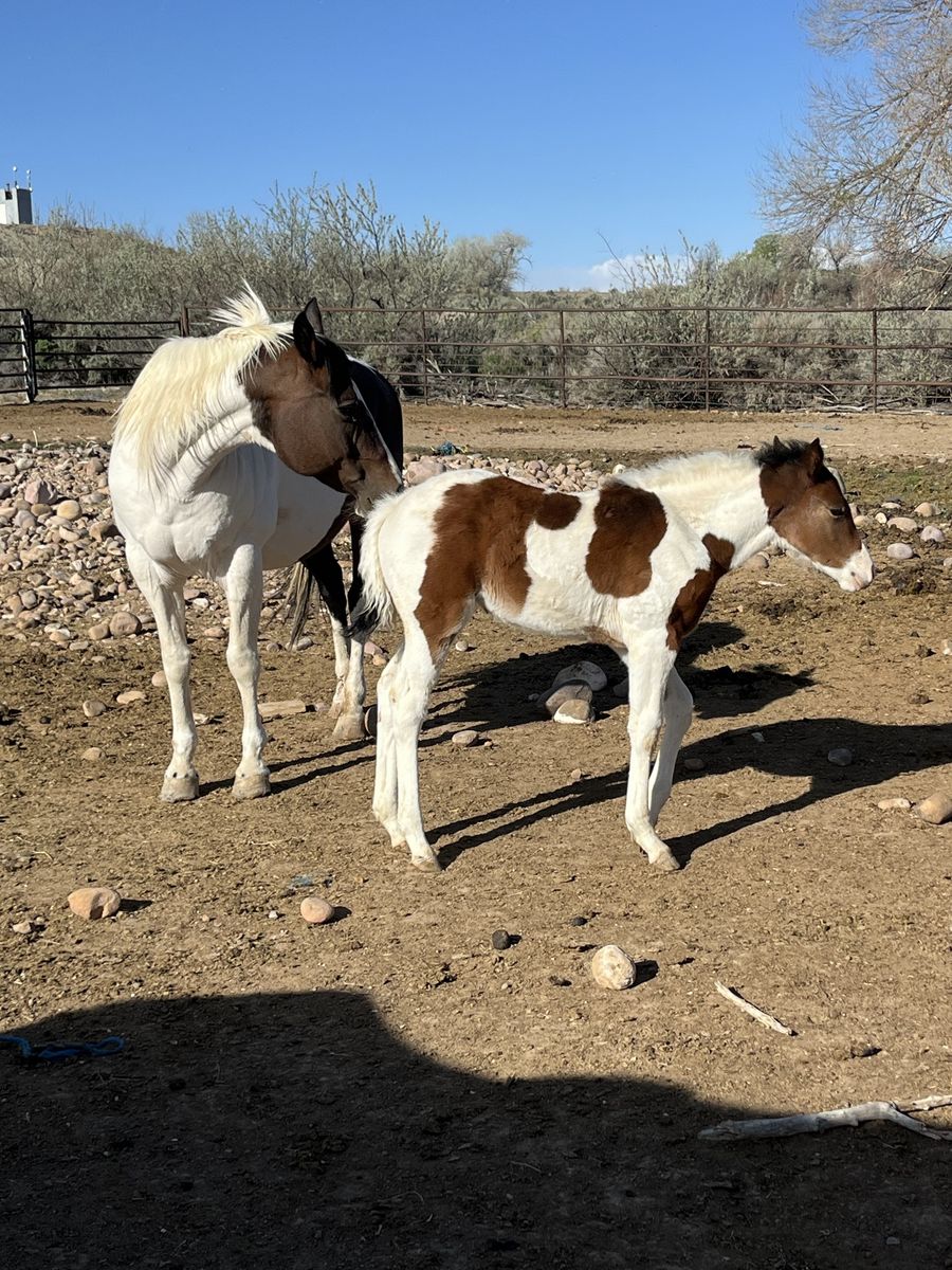 Main image 4