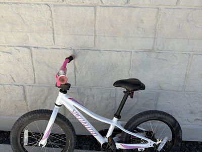 Specialized riprock