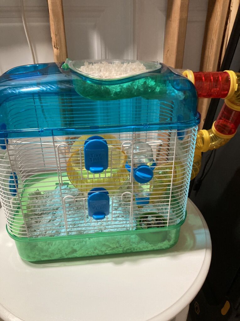 Dwarf Hamster With Cage