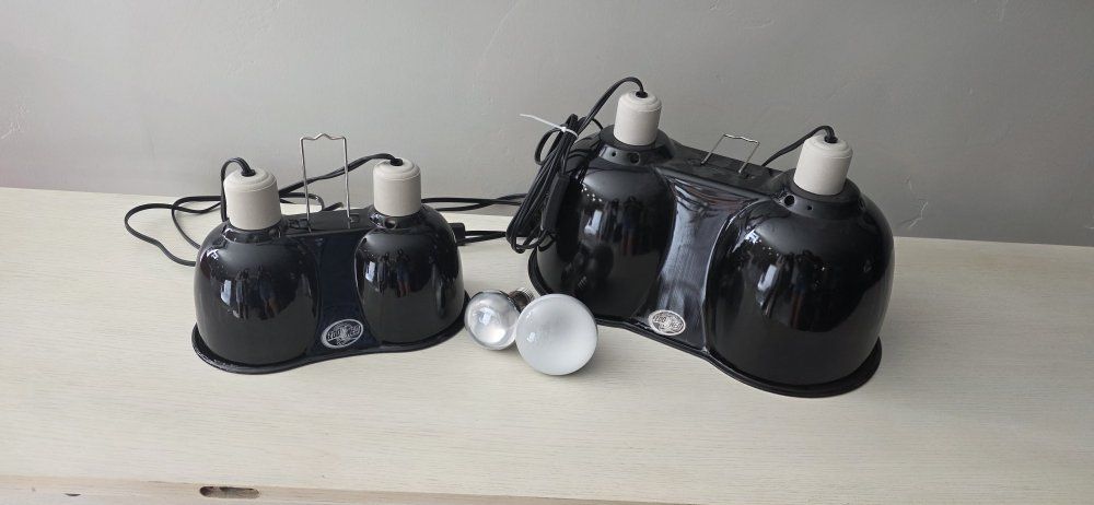 Reptile lamps