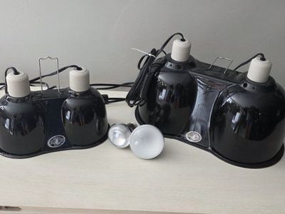 Reptile lamps