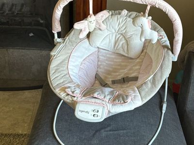 Ingenuity Soothing Baby Bouncer