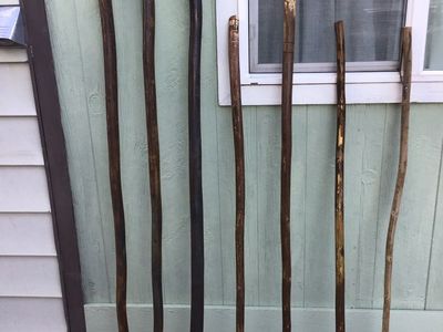 Walking poles