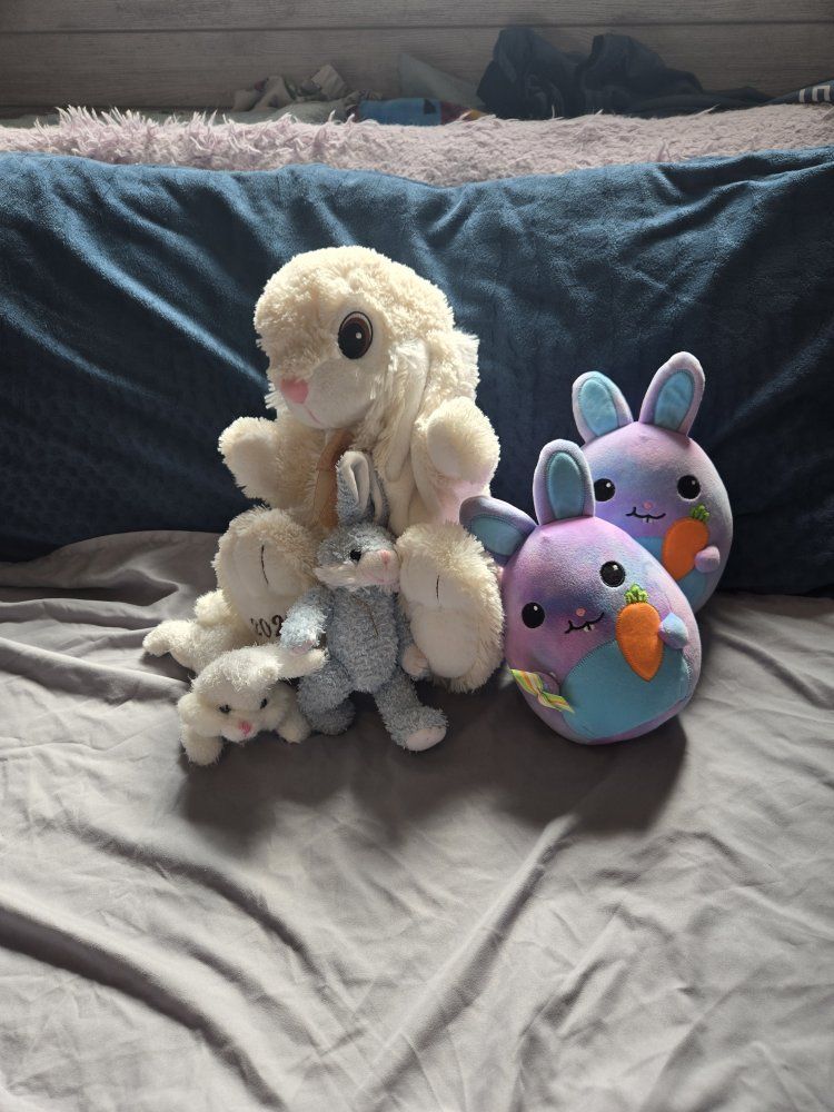 Assorted Plush Bunny Rabbit Stuffed Animal Toy Lot - Squishmallow & Others, Good Condition