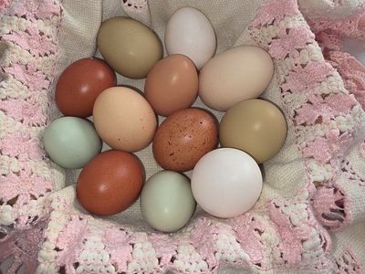 fresh eggs for sale: a dozen for $2 and two dozen for $3 The hens are fed organic food.