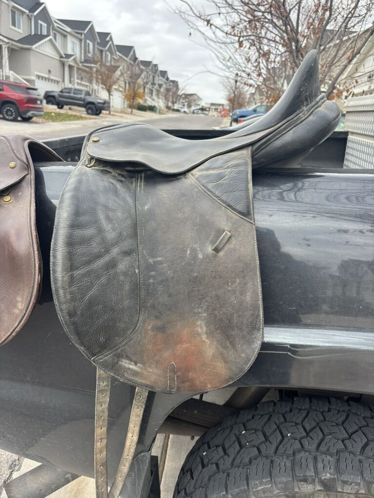 17.5 Collegiate Dressage Saddle