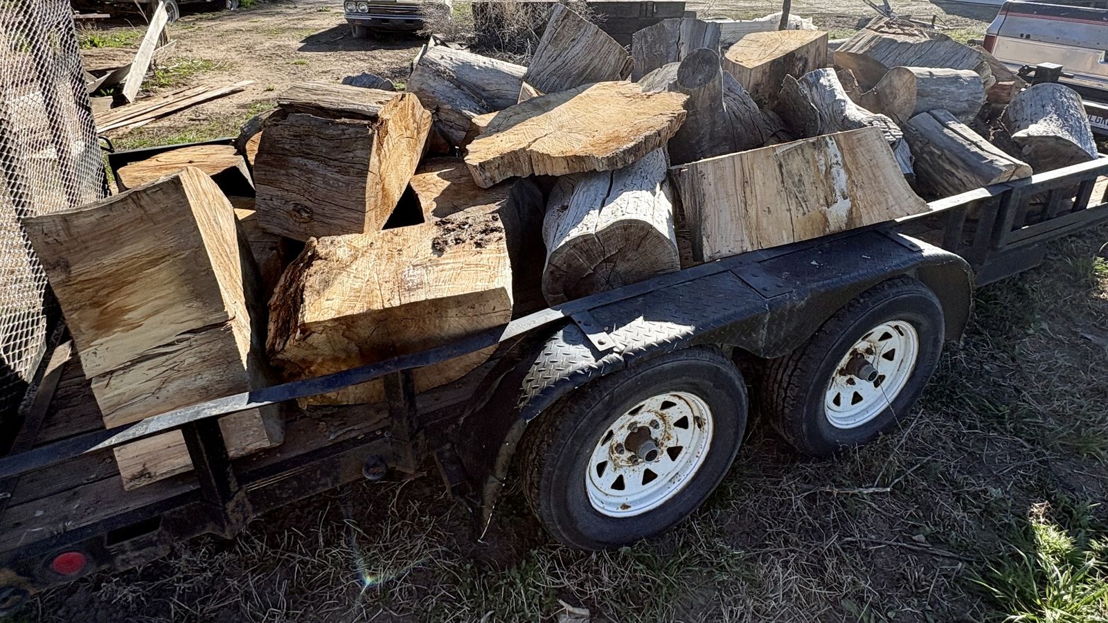 FREE - Silver Maple Rounds