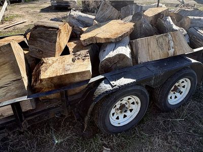 FREE - Silver Maple Rounds