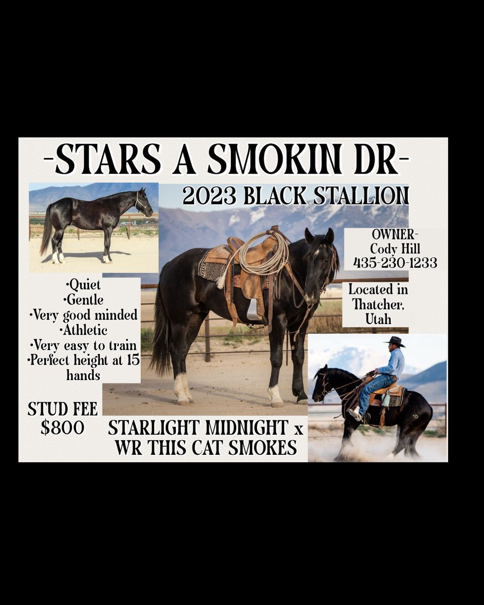 Stars A Smokin Dr