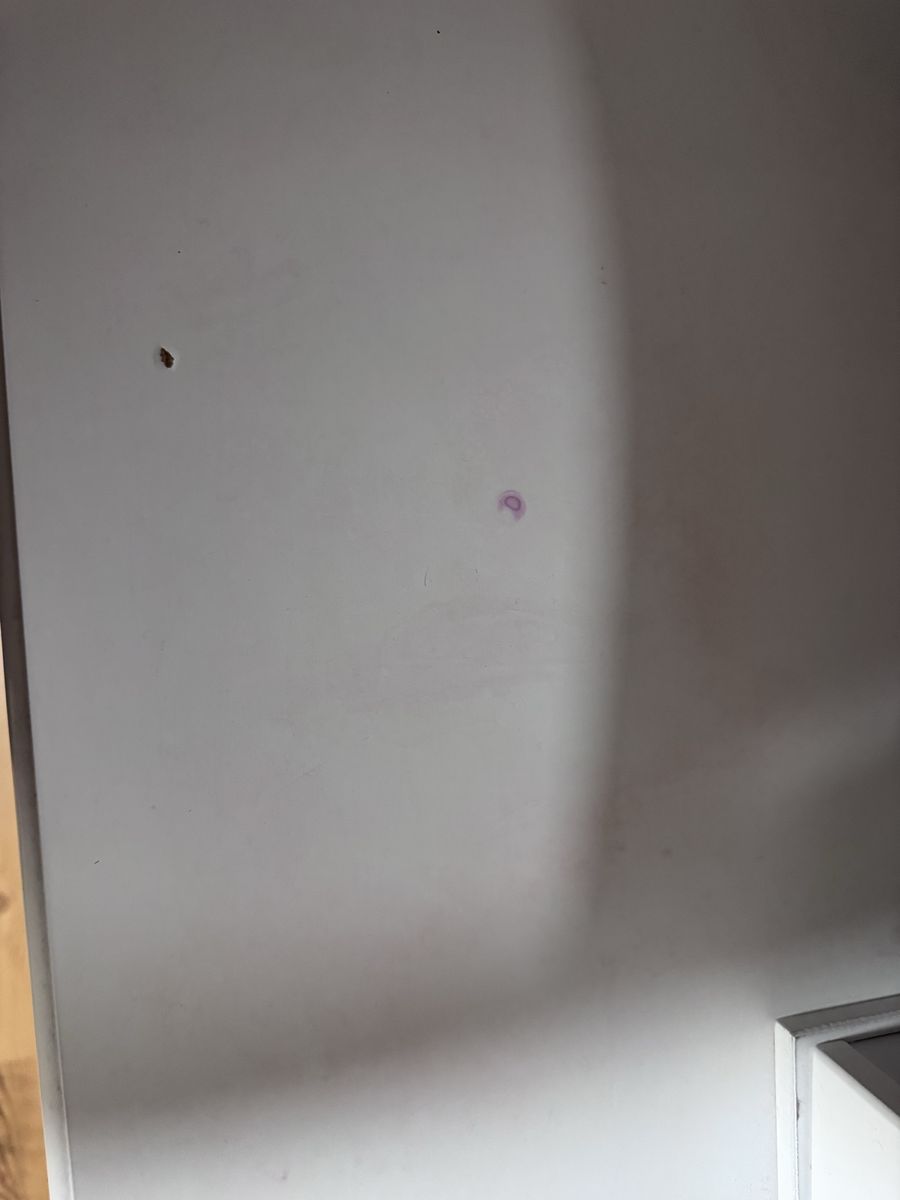 Main image 2