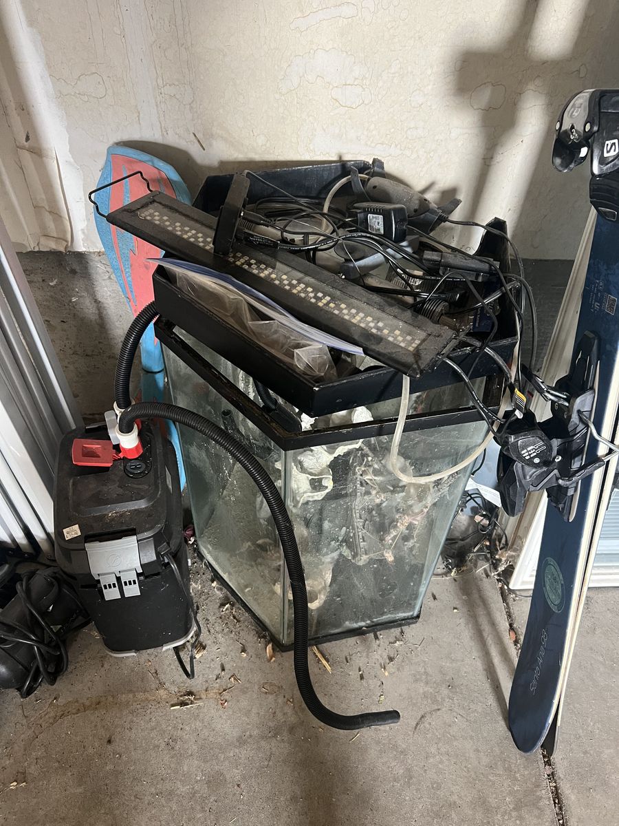 Fish Tank And Accessories