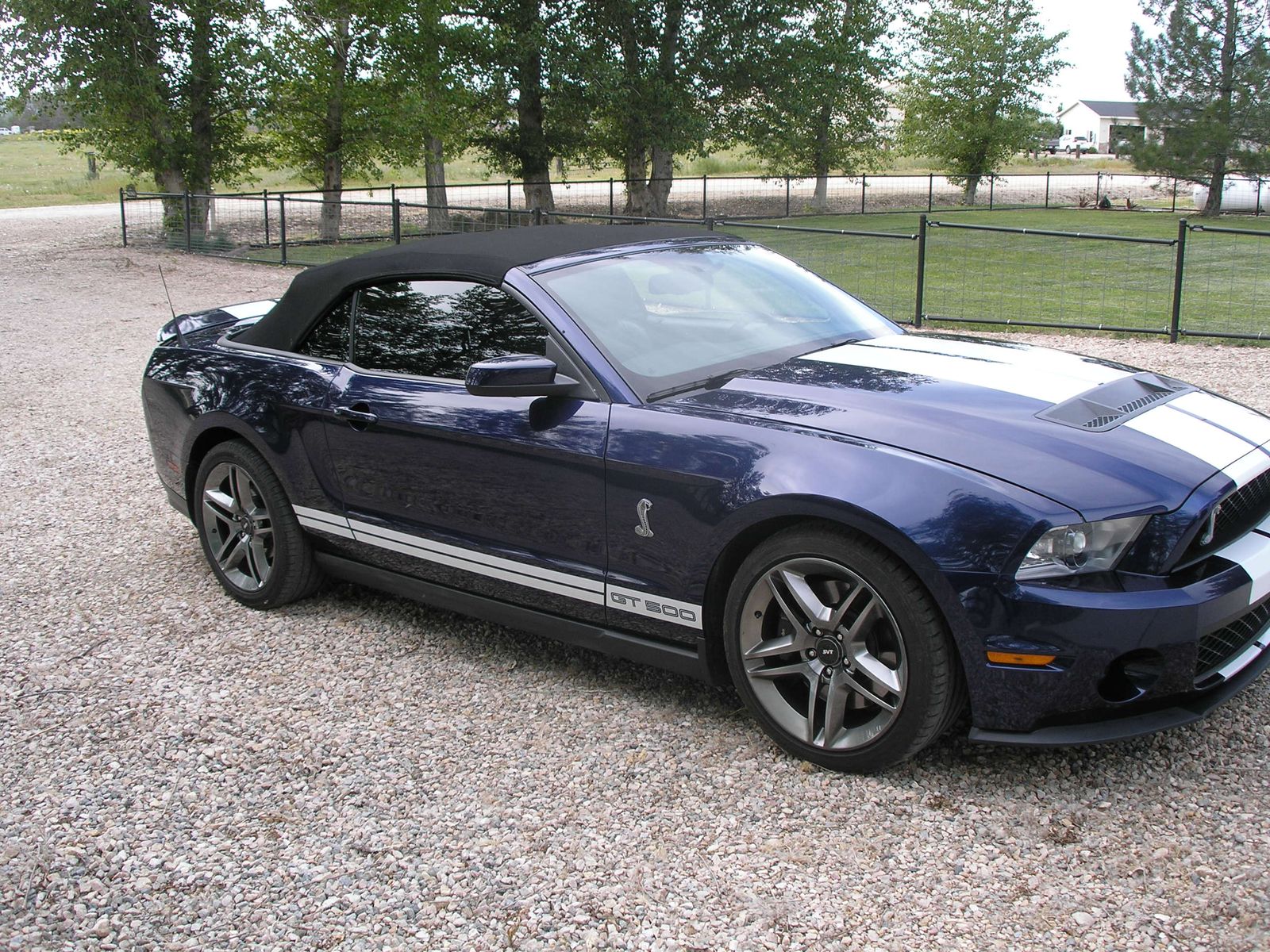 2011 Ford Shelby GT500 Base