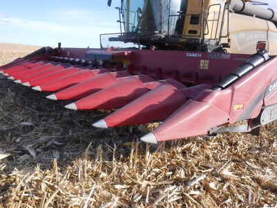 Case IH 4412 Corn Header 30 in.
