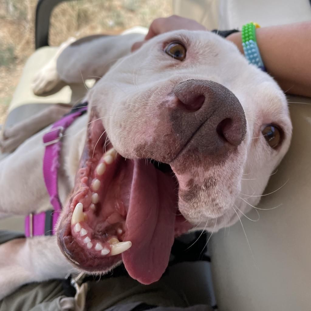 Hello my name is Mai Tai