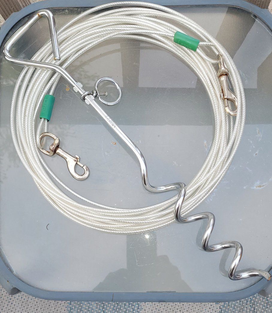 Dog tie out and stake large