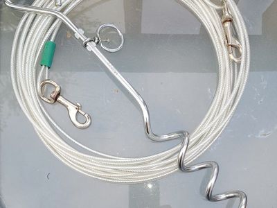 Dog tie out and stake large