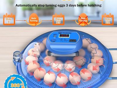 Egg Incubator: 26 Eggs, Auto Turn & Humidity