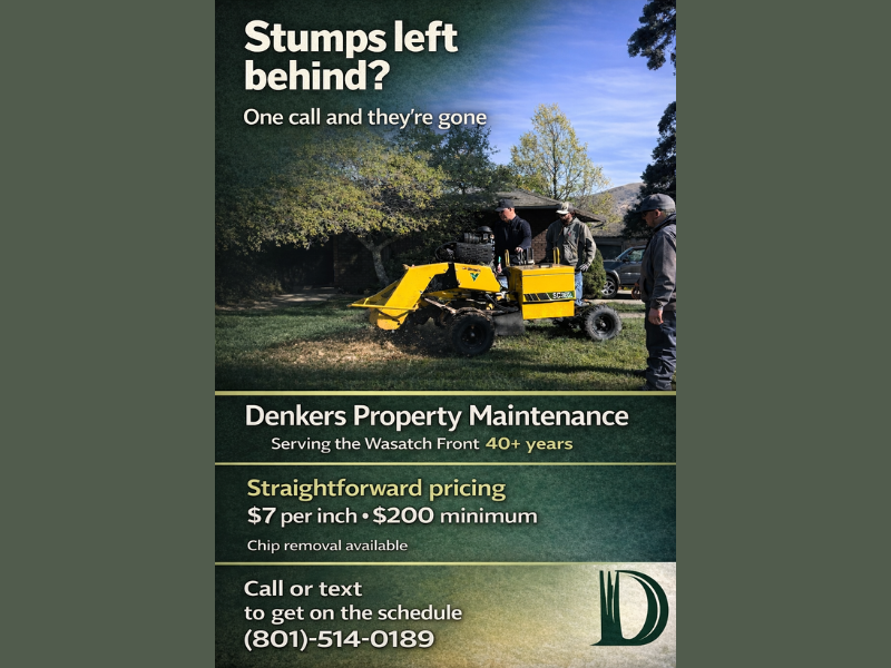 Stump Grinding | Fast Clean Removal | Local 40+ Years