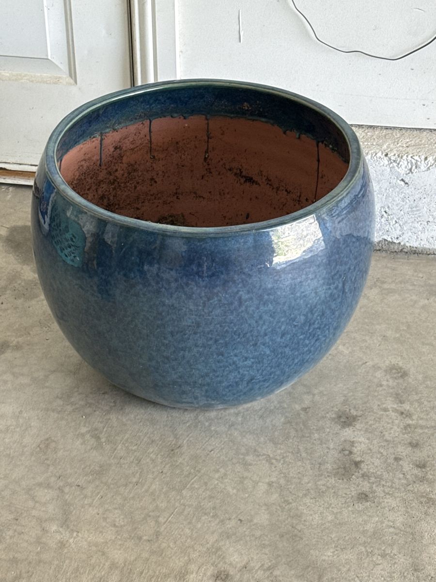 Blue pot (Cactus and Tropical)