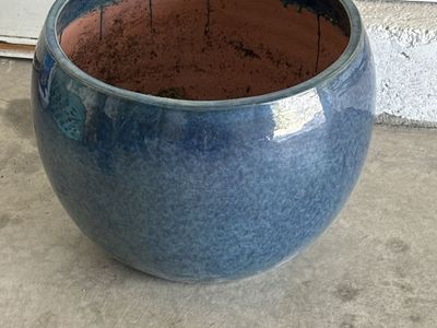 Blue pot (Cactus and Tropical)