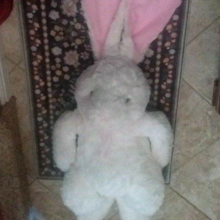 CUDDLE BUDDY! 36 INCHES OF RABBIT FUR!