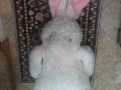 CUDDLE BUDDY! 36 INCHES OF RABBIT FUR!